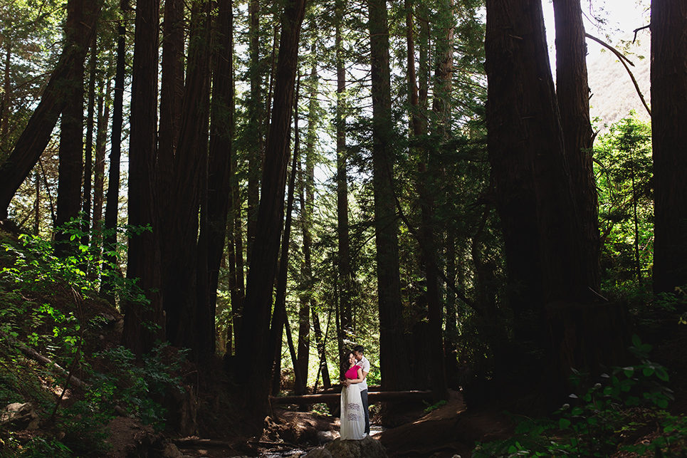 linda and ty big sur engagement photos, big su state park engagement, pfeiffer big sur photo, linda and ty, table4weddings by Table4 Weddings by Jason Huang, Table4.