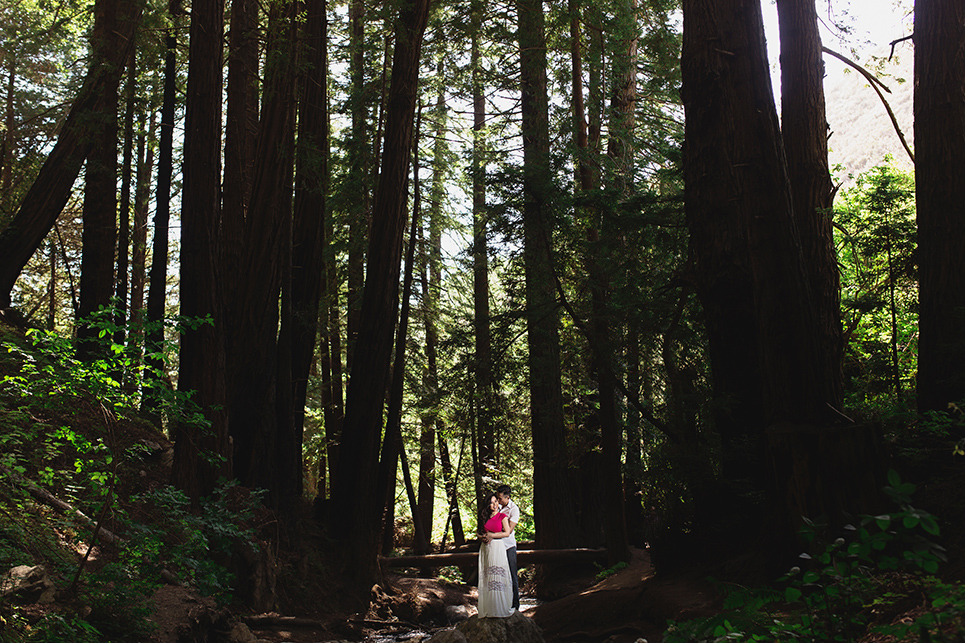 linda and ty big sur engagement photos, big su state park engagement, pfeiffer big sur photo, linda and ty, table4weddings by Table4 Weddings by Jason Huang, Table4. 