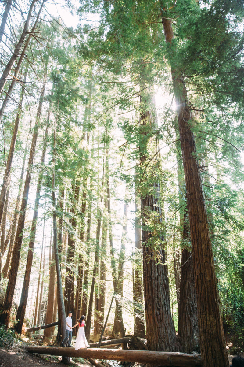 linda and ty big sur engagement photos, big su state park engagement, pfeiffer big sur photo, linda and ty, table4weddings