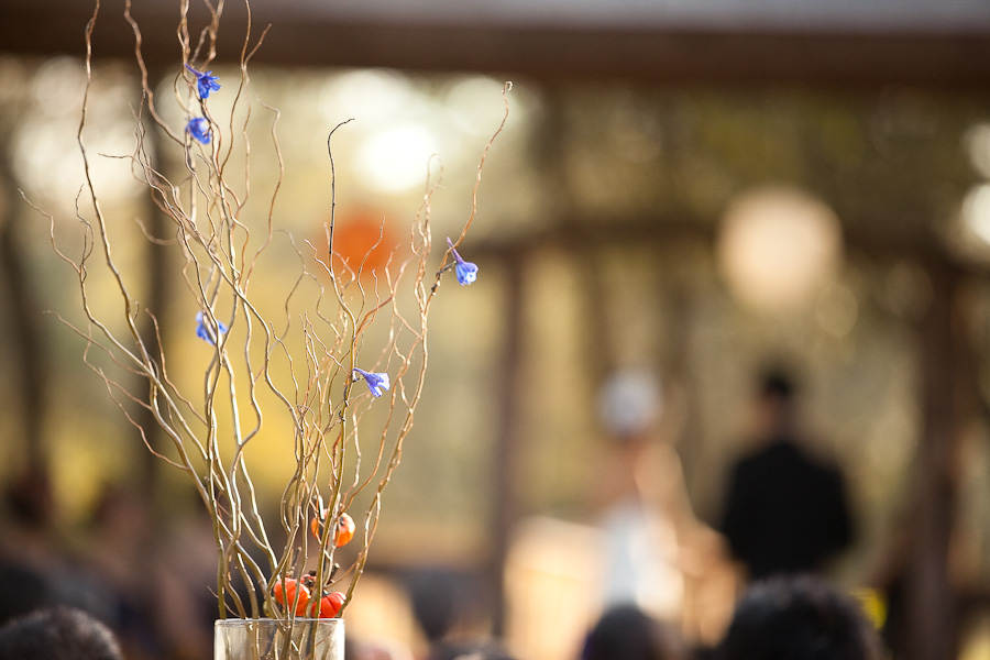 classic country outdoor wedding ceremony at texas old town kyle photographed by table4