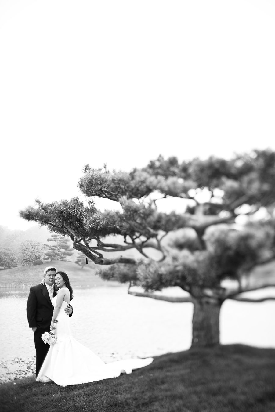 chicago botanic garden wedding photo