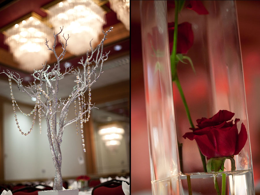 indian pakistani wedding reception in houston texas photographed by dallas wedding photographer table4