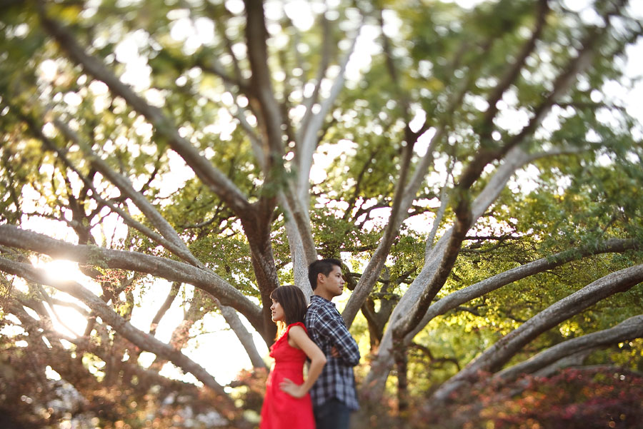 fun creative engagement session at houston zoo by dallas wedding photographer table4