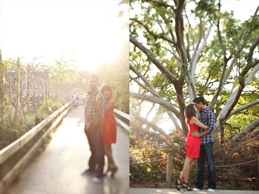 fun creative engagement session at houston zoo by dallas wedding photographer table4