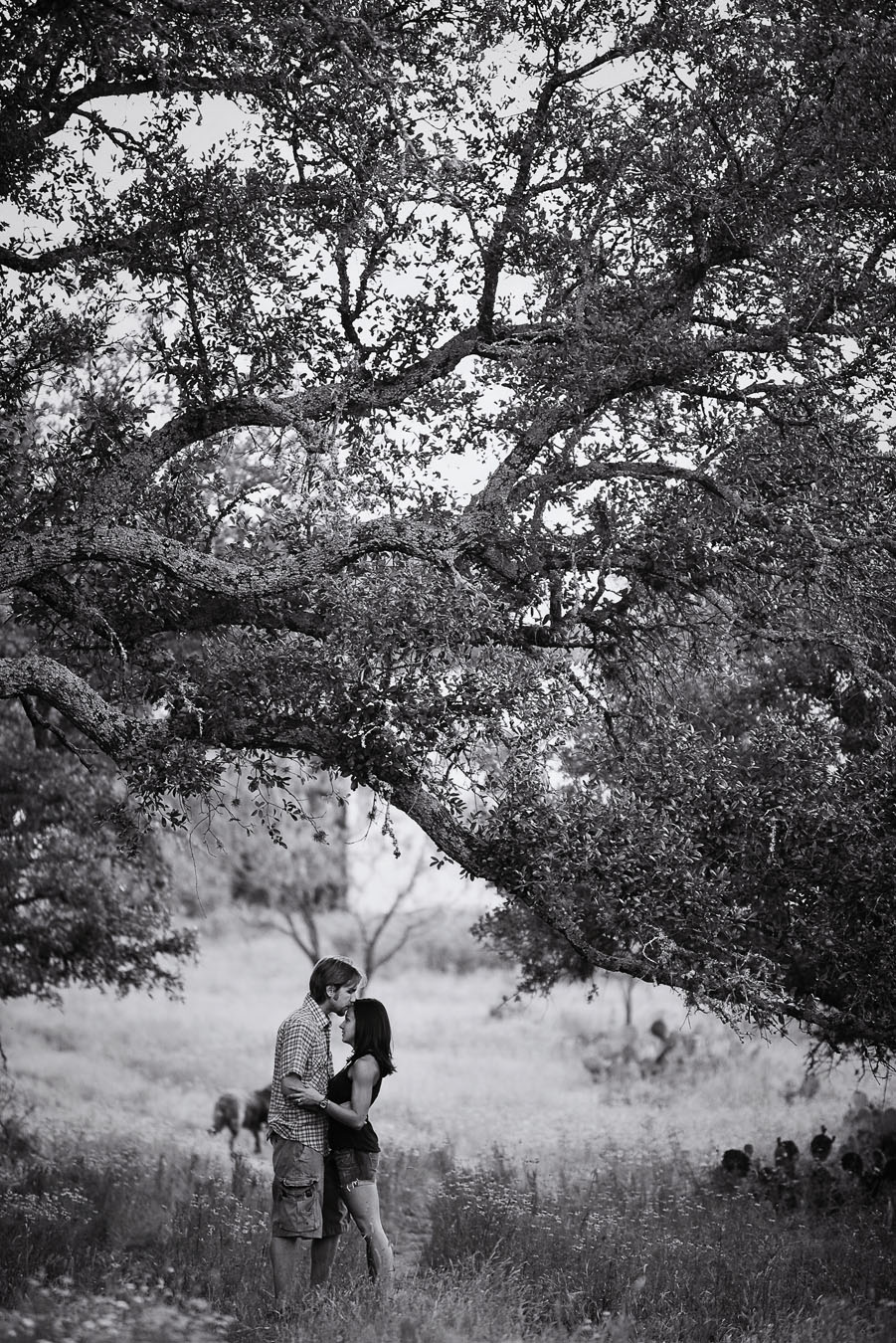 llano texas ranch engagement session by dallas wedding photographer table4