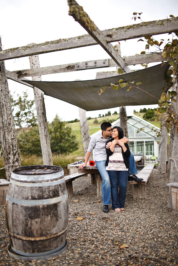 brick bay winery, new zealand engagement photo