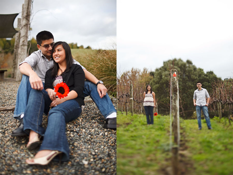 brick bay winery, new zealand engagement photo