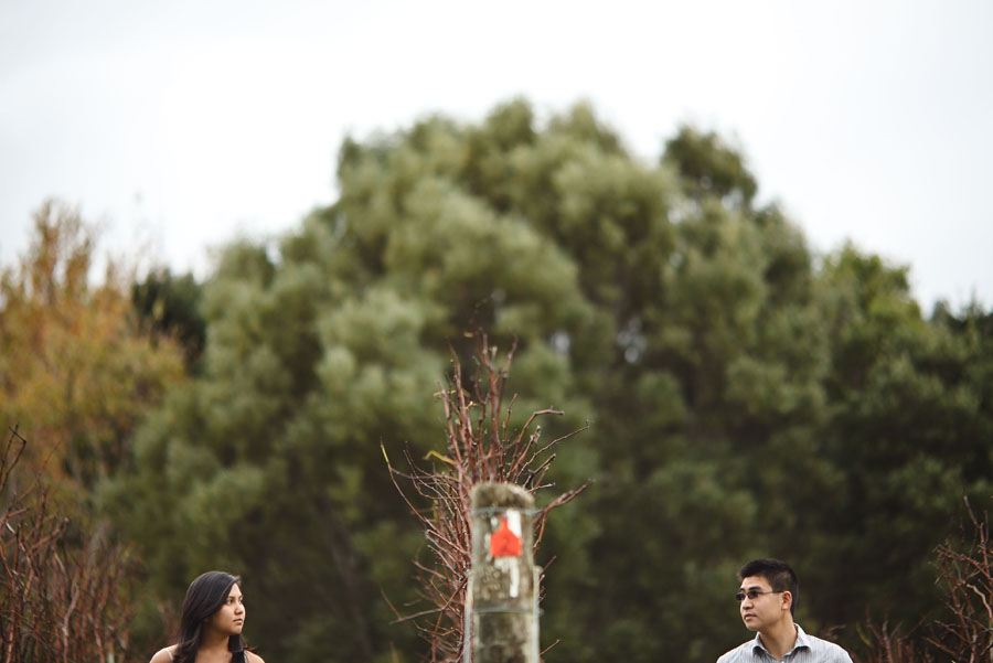 brick bay winery, new zealand engagement photo