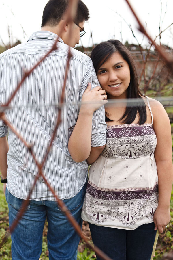 brick bay winery, new zealand engagement photo