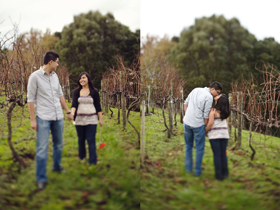 brick bay winery, new zealand engagement photo