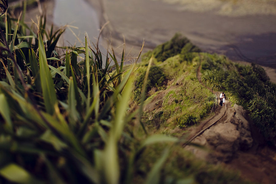 piha beach, lion rock, auckland new zealand engagement photo