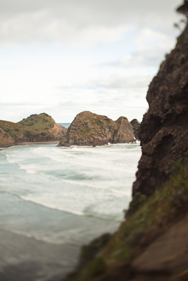 piha beach, lion rock, auckland new zealand engagement photo