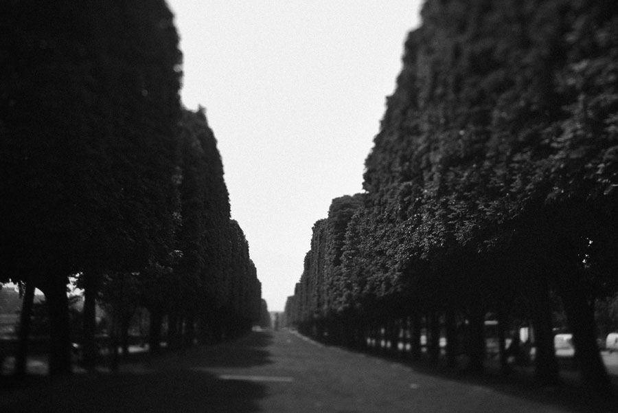 louvre courtyard