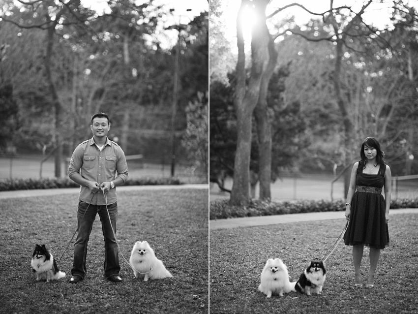 dallas park engagement photographer