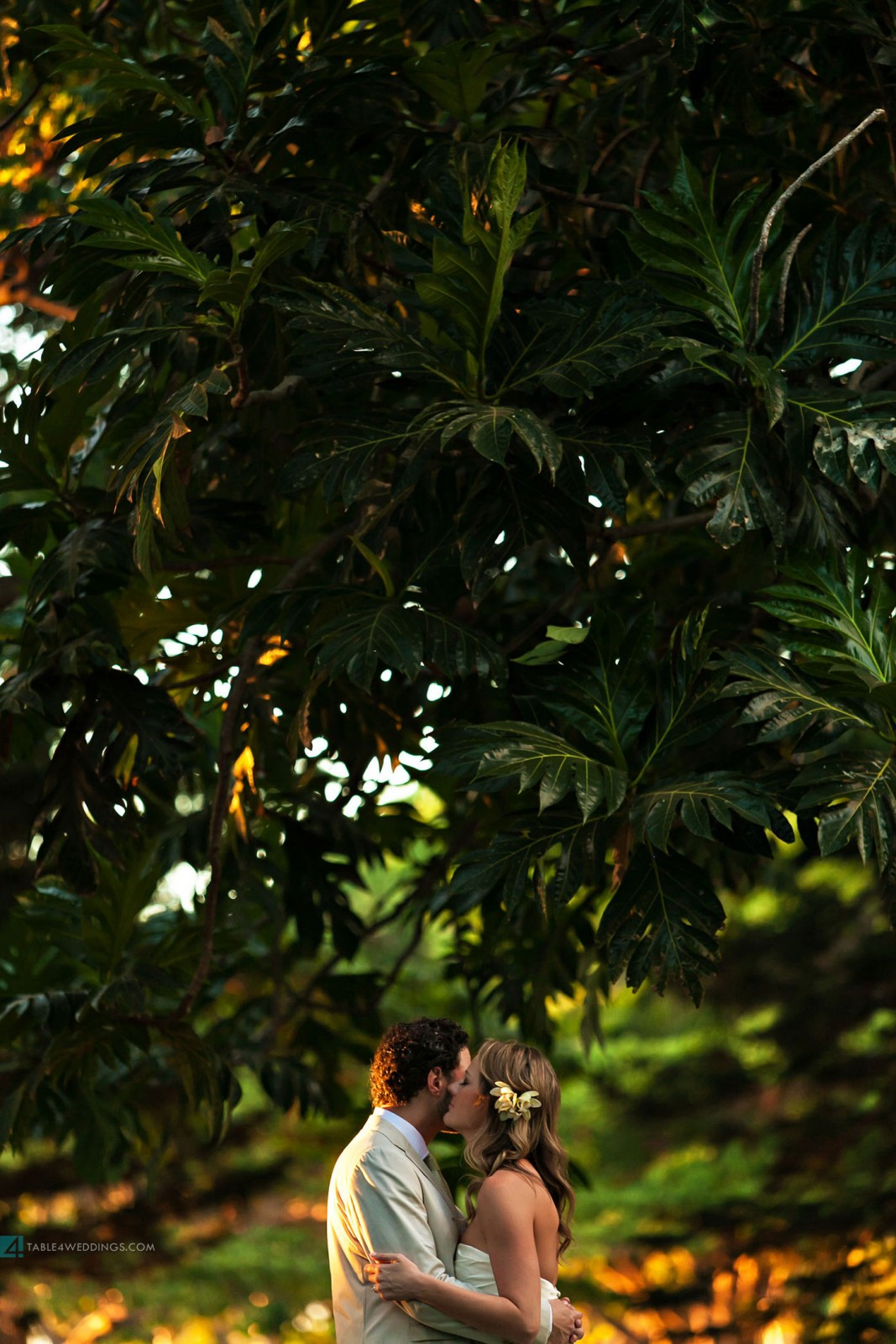 olowalu plantation house wedding reception, candid moment wedding, maui wedding photography, hawaii wedding photography