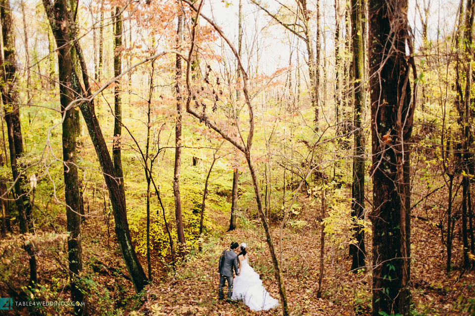 039 table4 best of 2013 engagement photos memphis national park