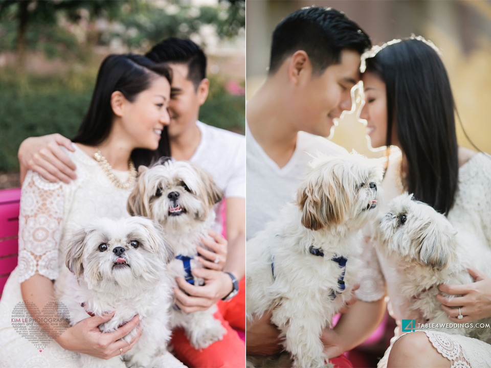 downtown los angeles grand park engagement pictures