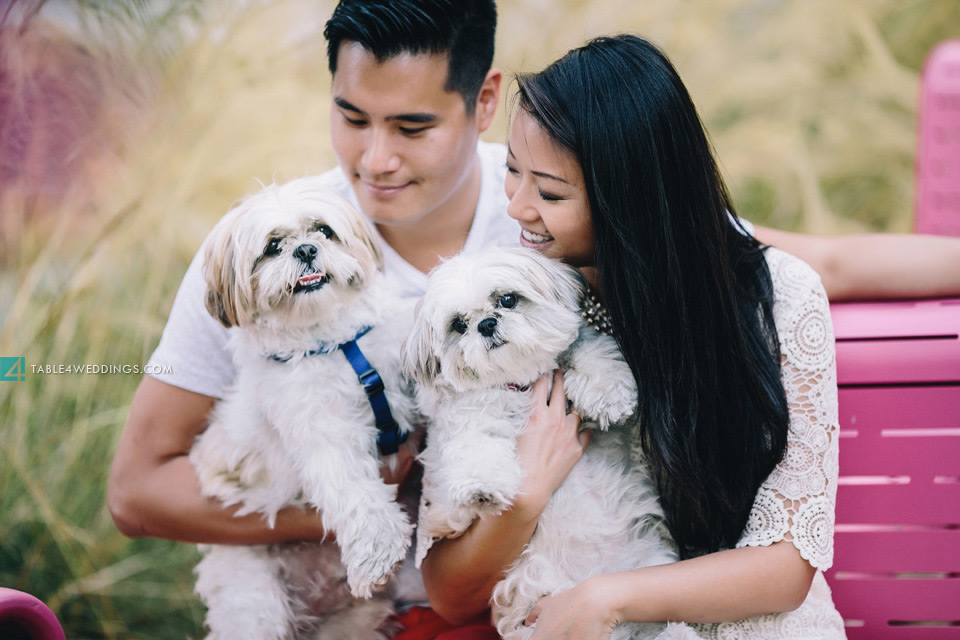 downtown los angeles grand park engagement picture