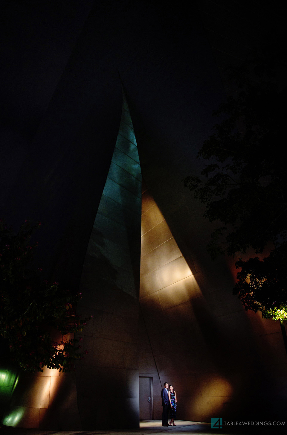 los angeles disney concert hall night time engagement photo