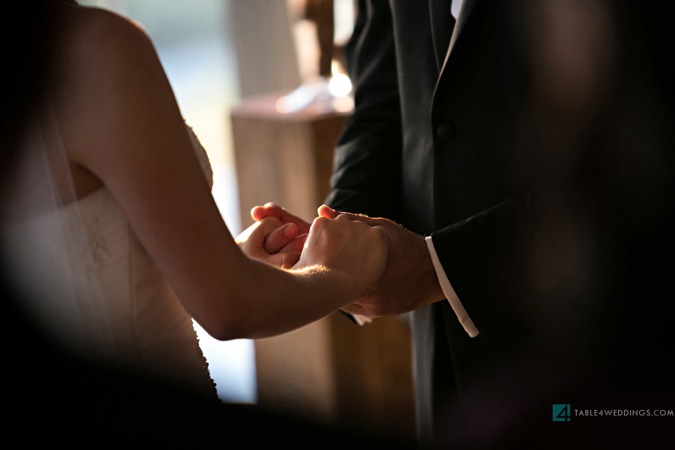 battery gardens wedding ceremony new york city photo