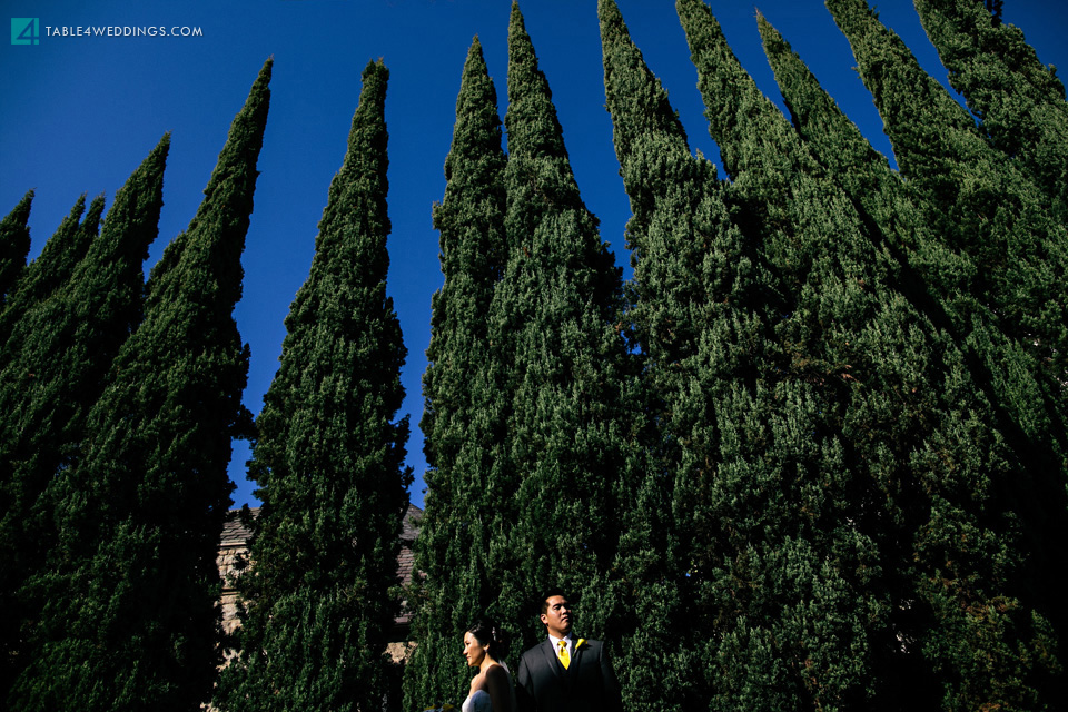 westin hotel pasadena wedding