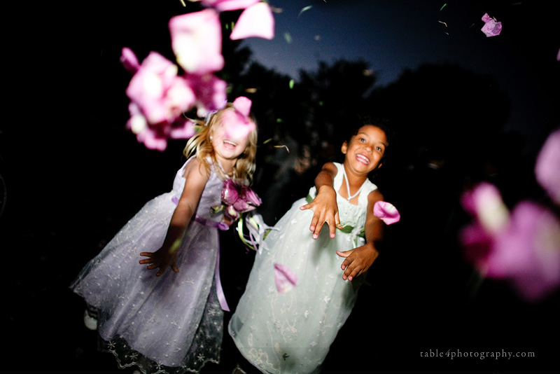 dallas arboretum wedding picture