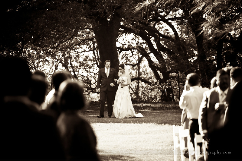 austin wedding picture, mercury hall wedding picture, outdoor wedding