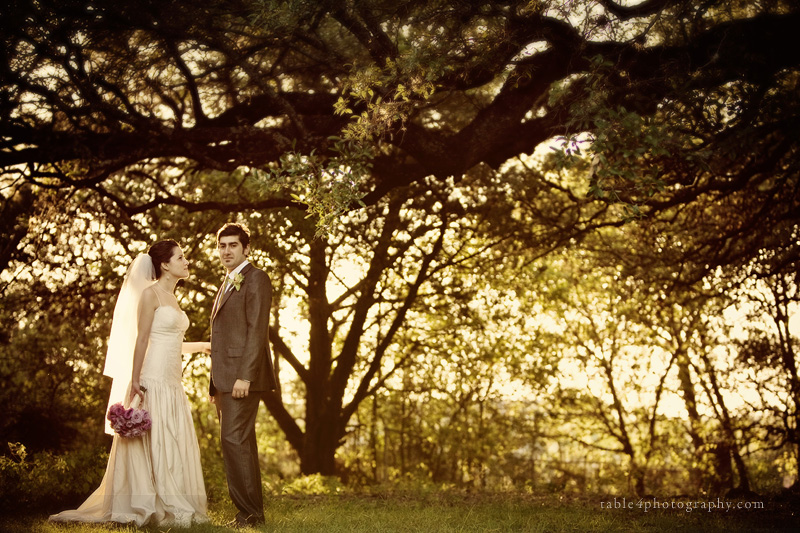 austin wedding photography, mercury hall wedding picture, outdoor wedding