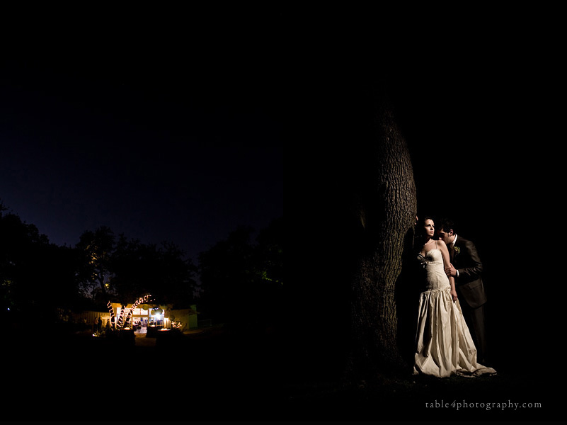 austin wedding picture, mercury hall wedding picture, outdoor wedding