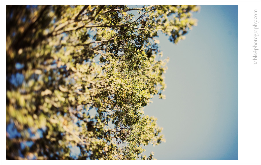 longview, tx wedding image, outdoor