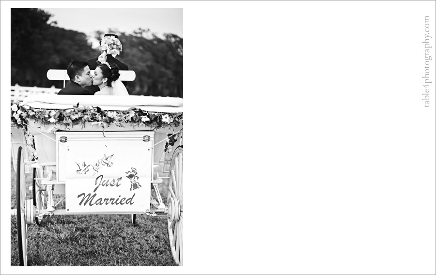 annabelle mansion, burleson, tx wedding images