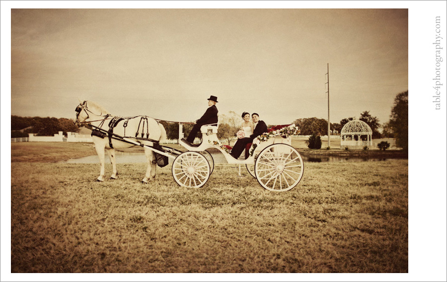 annabelle mansion, burleson, tx wedding images