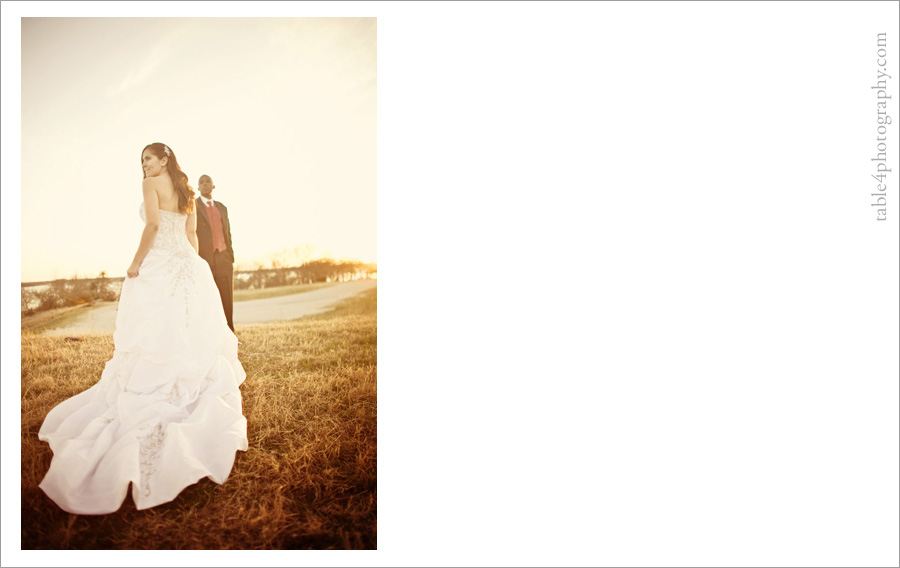 lake grapevine engagement photos