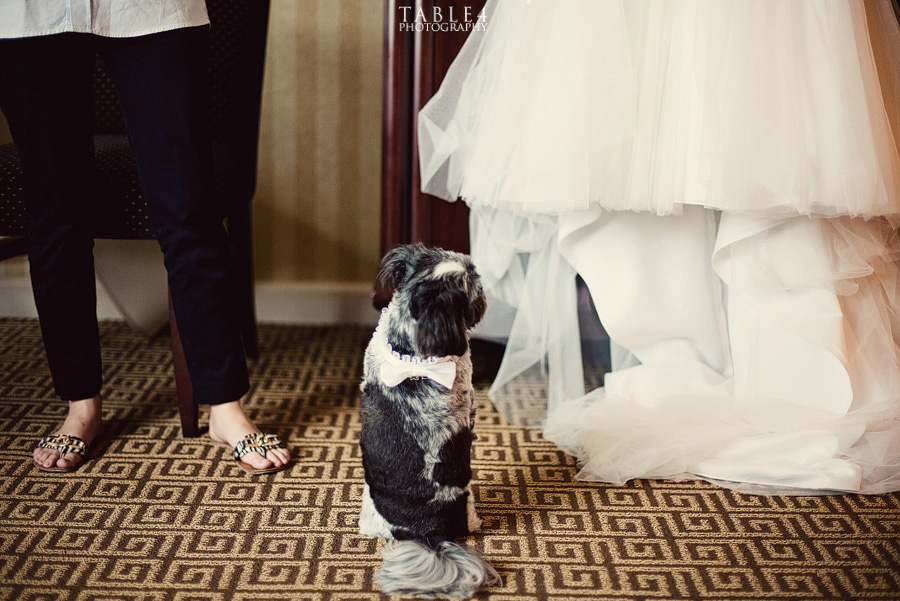 houston intercontinental wedding image