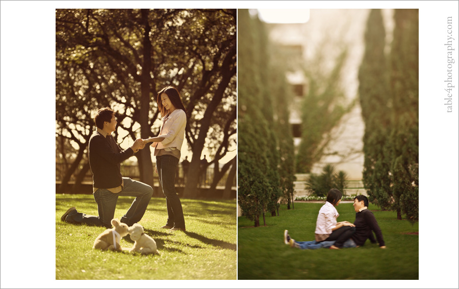 austin, tx arboretum engagement pictures