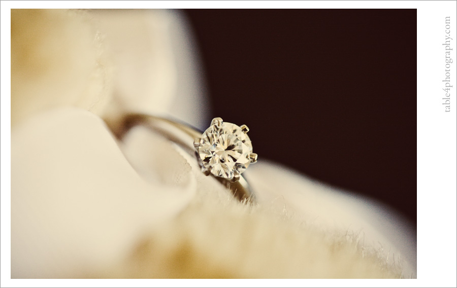 austin, tx arboretum engagement pictures